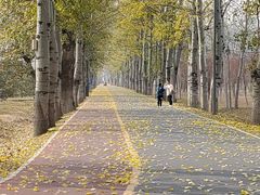 -东郊湿地公园