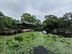 -无锡蠡湖国家湿地公园-蠡园