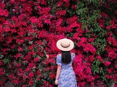 -厦门国家会计学院