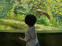 -合肥海洋世界