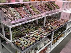 -KKV(深圳宏发大仟里店)