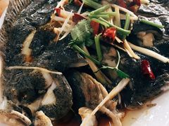 油泼多宝鱼-桔子海鲜烧烤大排档(台东店)
