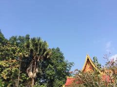 -西双版纳总佛寺