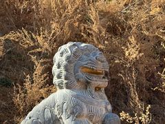 -丽江泸沽湖景区