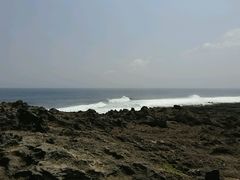 android_upload_pic-龙坑生态保护区