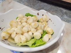 小马蹄-探窝·竹笙椰子鸡(杨箕店)