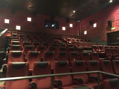 Palace&nbsp;Cinema百丽宫影城(大慈寺太古里店)-成都百丽宫影城(LUXE太古里店)