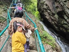 -宁波五龙潭景区