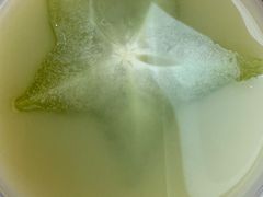 -阿嬷手作(上海万象城店)