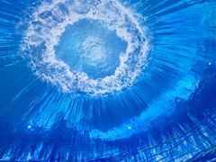 -海合安武汉极地海洋公园