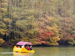 -上海海湾国家森林公园