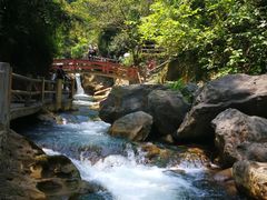 -华蓥山天意谷景区