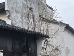 -乌镇东栅景区