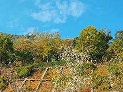 -小南山公园