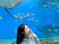 -福州罗源湾海洋世界旅游区