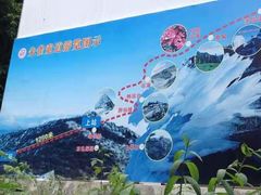-朱雀国家森林公园