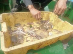 -嵊泗基湖沙滩
