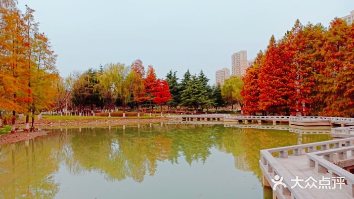 白塘生态植物园图片