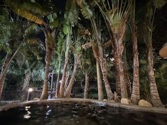 -罗浮山嘉宝田森林温泉度假酒店