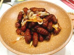-陈家老院子(高新店)