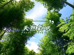 -千泷沟大瀑布旅游区