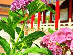 -皇罗禅寺