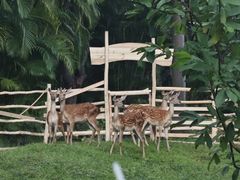 -佰园全日西餐厅-厦门佰翔软件园酒店