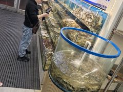 -仙螺岛海鲜自助餐厅(总店)