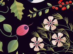 -名羊天下陕北横山铁锅炖羊肉(博文路店)