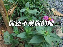 -北仑森林植物园