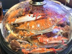 -半岛听涛蒸汽海鲜自助(K11店)