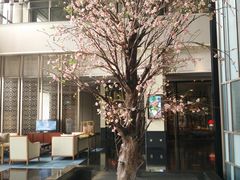 -成都安仁福朋喜来登酒店