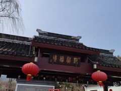 -香雪海
