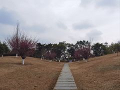 -桂溪生态公园