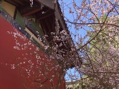 -大同古城墙