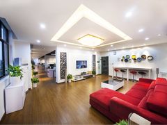 -上海盛视天橙传媒股份有限公司