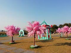 -径山花海