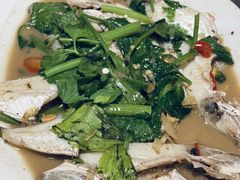 -龙眼南白粥六顺白粥