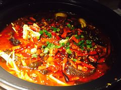 -九锅一堂酸菜鱼(新南凯德直营店)