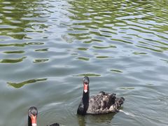 -长春世界雕塑园冰雪艺术天地