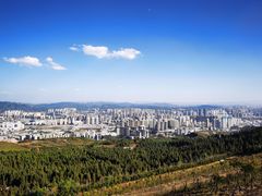 -长虫山生态公园风景林