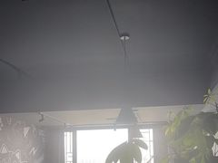 -梵猫·新养生(湛江鼎盛店)