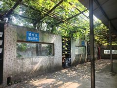 -东湖小天池真人CS彩弹野战基地