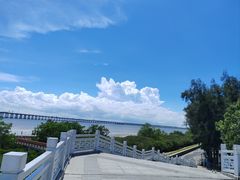 -宝安西湾红树林湿地公园