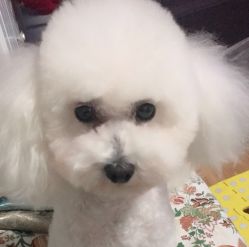 -变画·发型STUDIO