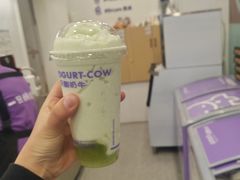 -一只酸奶牛(捞沙巷店)