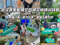 -武汉荟聚