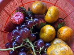 -岭上人家金屋瑶筐烤全羊(永嘉店)