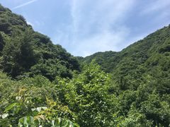 -抱龙峪