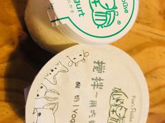 -狐狸家·酸奶酪专门店(平江路店)